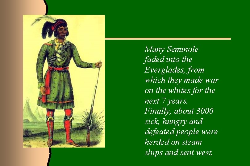Many Seminole faded into the Everglades, from which they made war on the whites