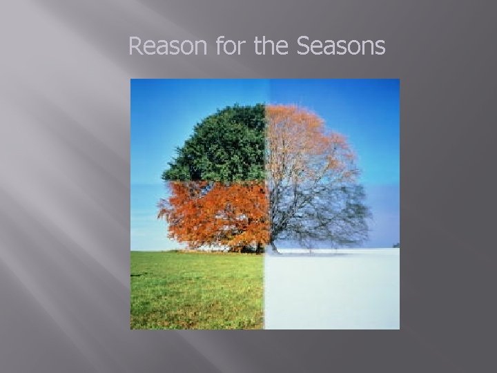 Reason for the Seasons 