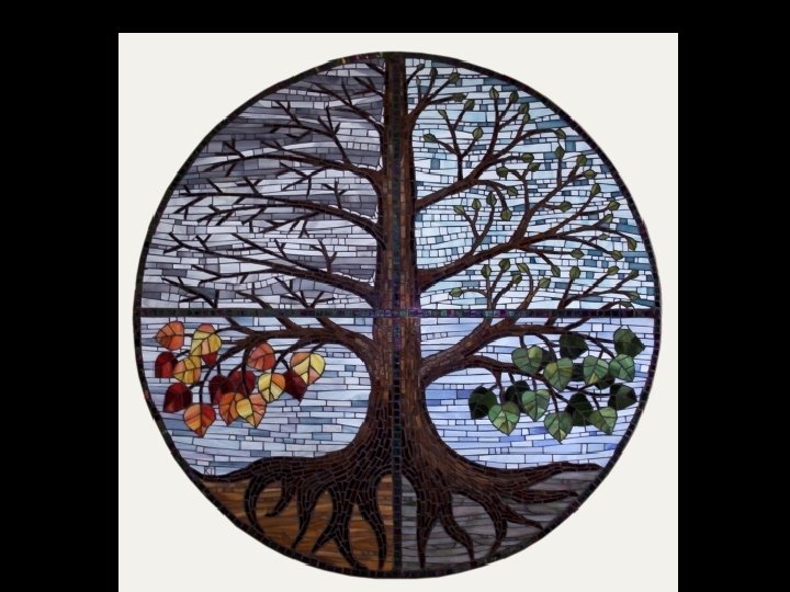 The American President (1995) 