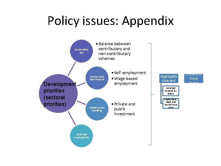 Policy issues: Appendix Social safety net Development priorities (sectoral priorities) Skills and employability •