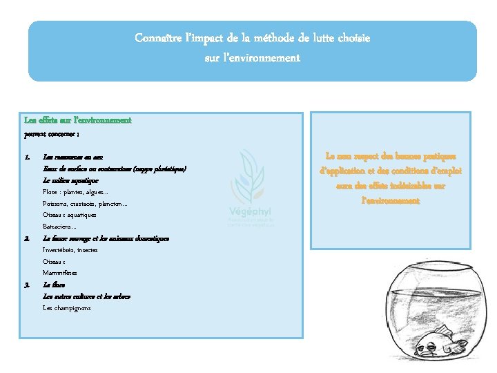 Connaître l’impact de la méthode de lutte choisie sur l’environnement Les effets sur l’environnement