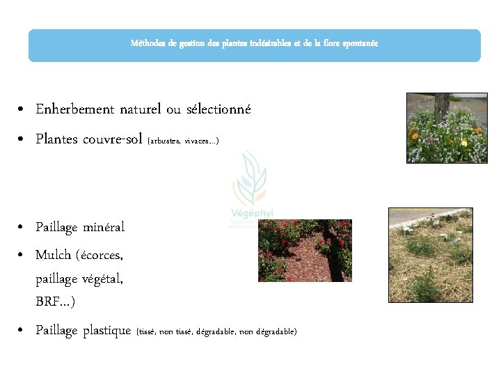 Méthodes de gestion des plantes indésirables et de la flore spontanée • Enherbement naturel