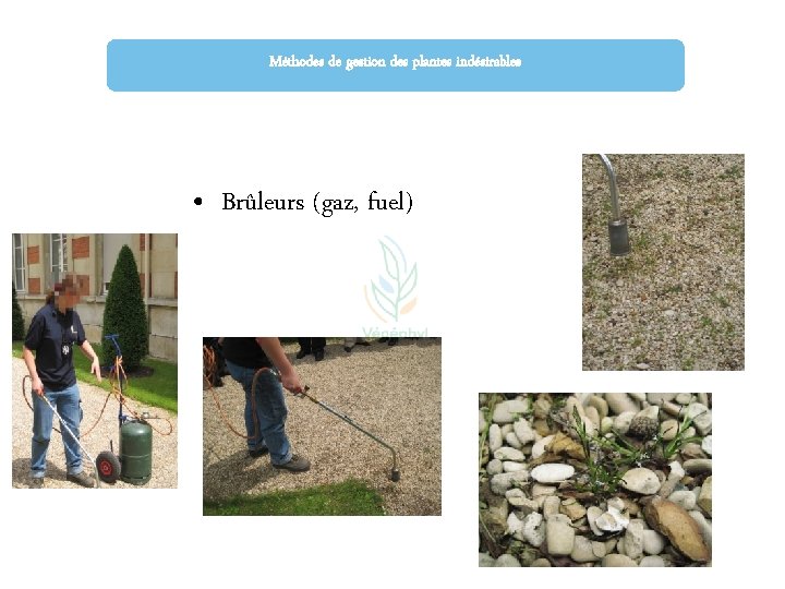 Méthodes de gestion des plantes indésirables • Brûleurs (gaz, fuel) 