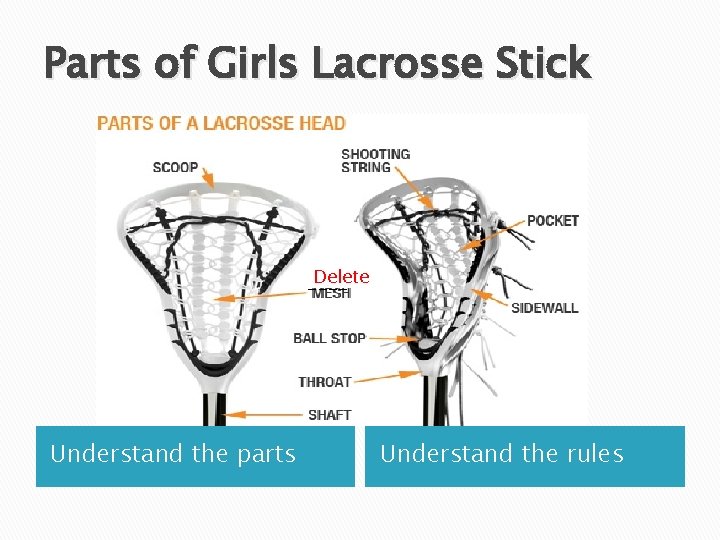 Parts of Girls Lacrosse Stick Delete ---- Understand the parts Understand the rules 