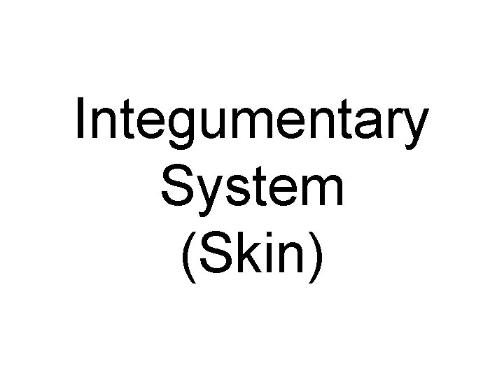 Integumentary System (Skin) 