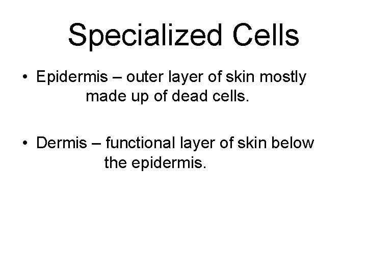 Specialized Cells • Epidermis – outer layer of skin mostly made up of dead
