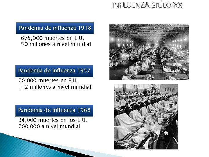 INFLUENZA SIGLO XX Pandemia de influenza 1918 675, 000 muertes en E. U. 50
