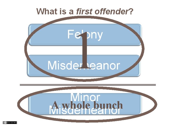 What is a first offender? 1 A whole bunch 