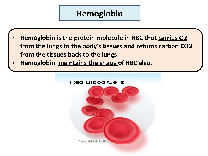 ANEMIA Dr Mansour Aljabry Head of Flow cytometry