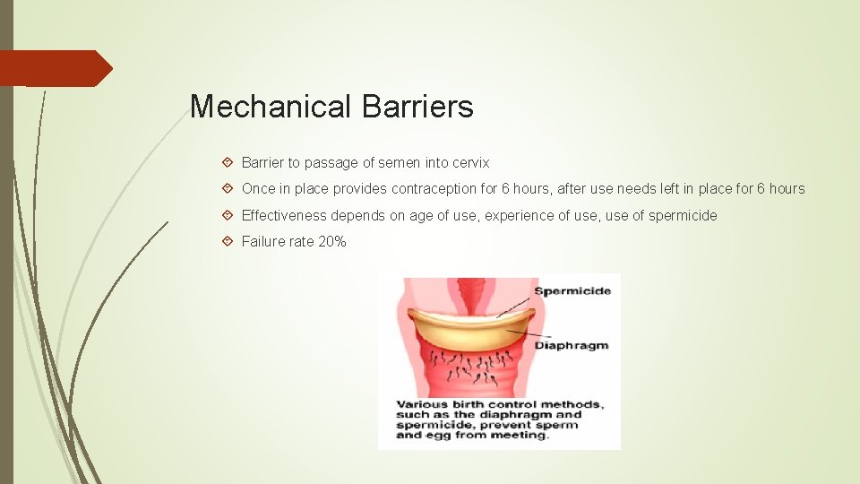 Mechanical Barriers Barrier to passage of semen into cervix Once in place provides contraception