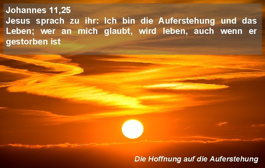 Johannes 11, 25 Jesus sprach zu ihr: Ich bin die Auferstehung und das Leben;