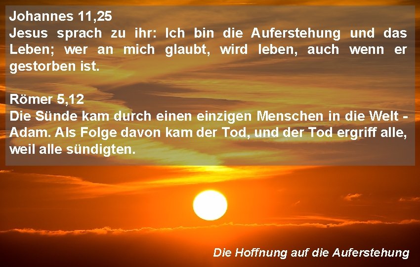 Johannes 11, 25 Jesus sprach zu ihr: Ich bin die Auferstehung und das Leben;