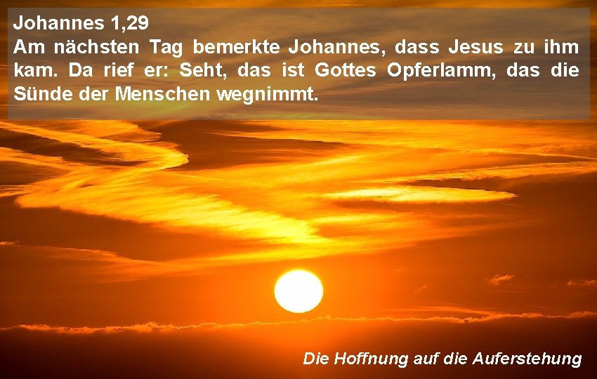 Johannes 1, 29 Am nächsten Tag bemerkte Johannes, dass Jesus zu ihm kam. Da