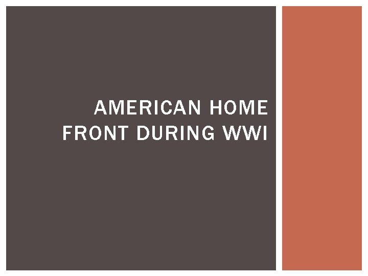 AMERICAN HOME FRONT DURING WWI 