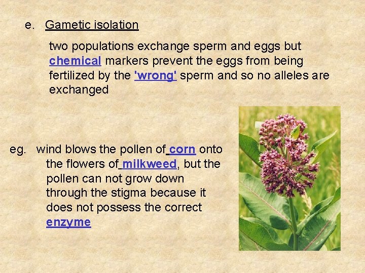 e. Gametic isolation two populations exchange sperm and eggs but chemical markers prevent the