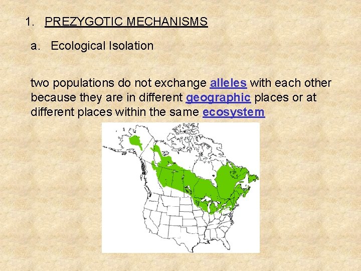 1. PREZYGOTIC MECHANISMS a. Ecological Isolation two populations do not exchange alleles with each