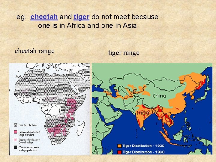 eg. cheetah and tiger do not meet because one is in Africa and one
