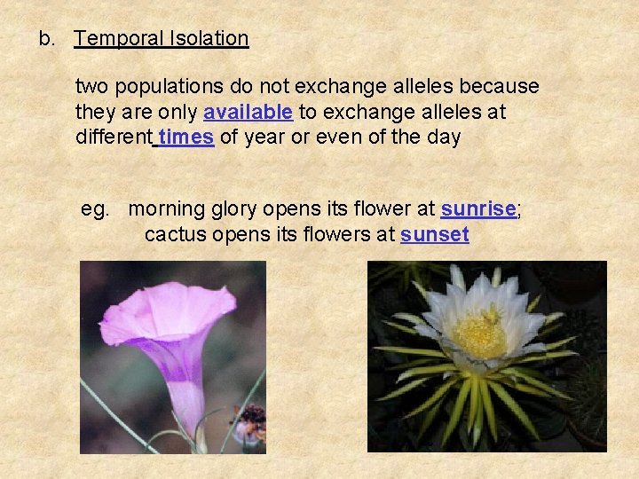 b. Temporal Isolation two populations do not exchange alleles because they are only available