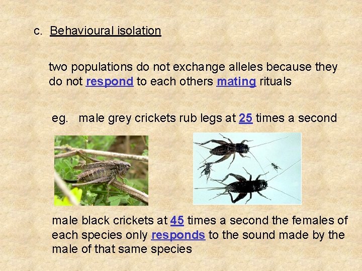 c. Behavioural isolation two populations do not exchange alleles because they do not respond