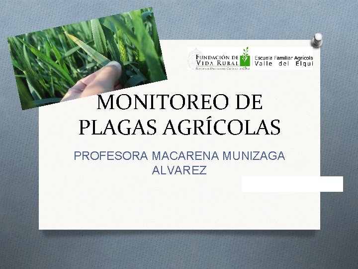 MONITOREO DE PLAGAS AGRÍCOLAS PROFESORA MACARENA MUNIZAGA ALVAREZ 