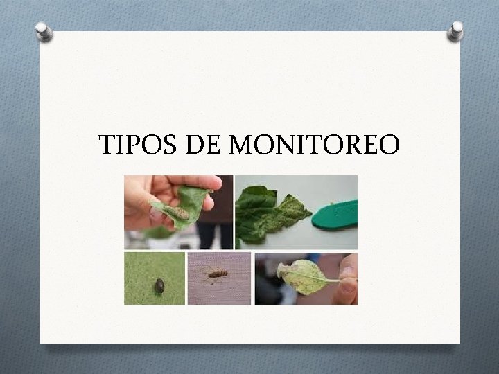 TIPOS DE MONITOREO 