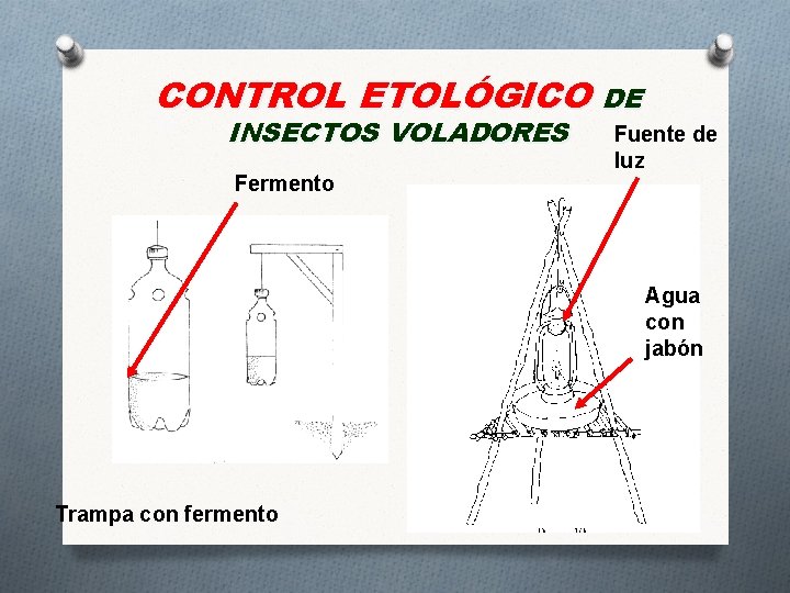 CONTROL ETOLÓGICO DE INSECTOS VOLADORES Fermento Fuente de luz Agua con jabón Trampa con