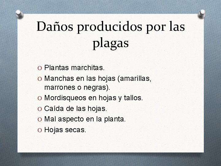 Daños producidos por las plagas O Plantas marchitas. O Manchas en las hojas (amarillas,