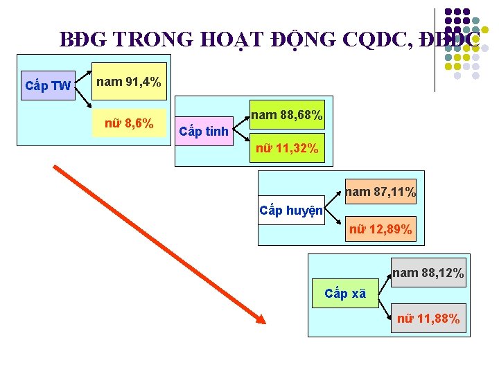 BĐG TRONG HOẠT ĐỘNG CQDC, ĐBDC Cấp TW nam 91, 4% nữ 8, 6%