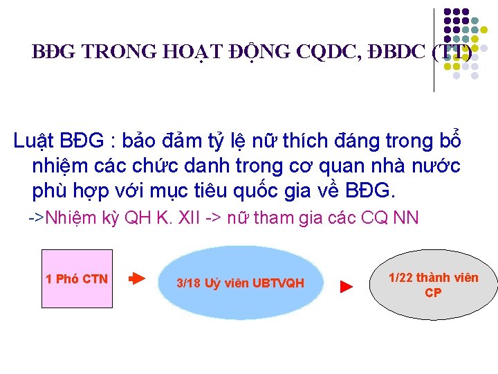 BĐG TRONG HOẠT ĐỘNG CQDC, ĐBDC (TT) Luật BĐG : bảo đảm tỷ lệ