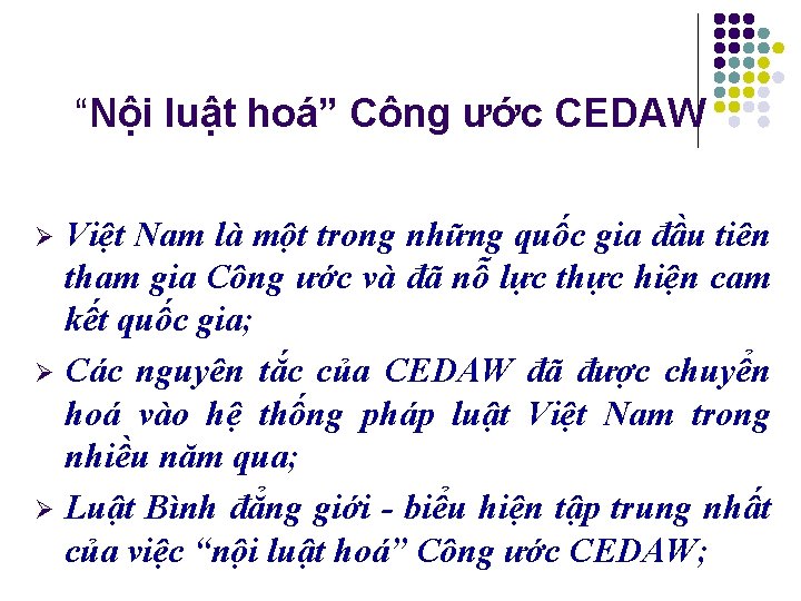 “Nội luật hoá” Công ước CEDAW Việt Nam là một trong những quốc gia