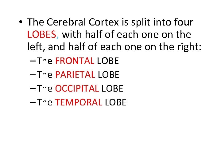  • The Cerebral Cortex is split into four LOBES, with half of each