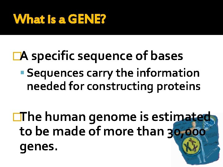 What is a GENE? �A specific sequence of bases Sequences carry the information needed