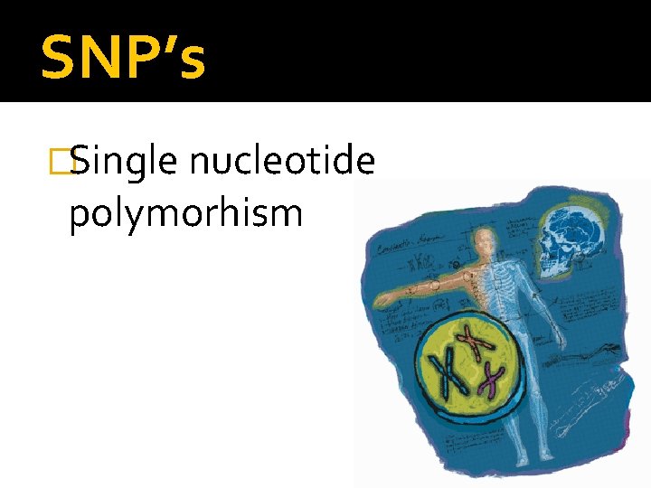 SNP’s �Single nucleotide polymorhism 