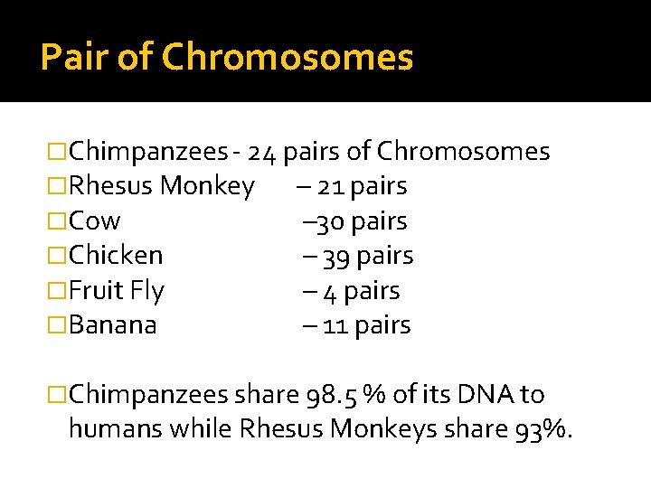 Pair of Chromosomes �Chimpanzees - 24 pairs of Chromosomes �Rhesus Monkey – 21 pairs