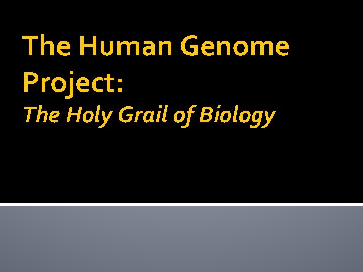 The Human Genome Project: The Holy Grail of Biology 