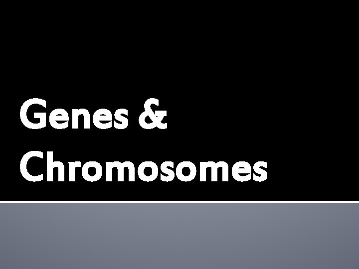 Genes & Chromosomes 