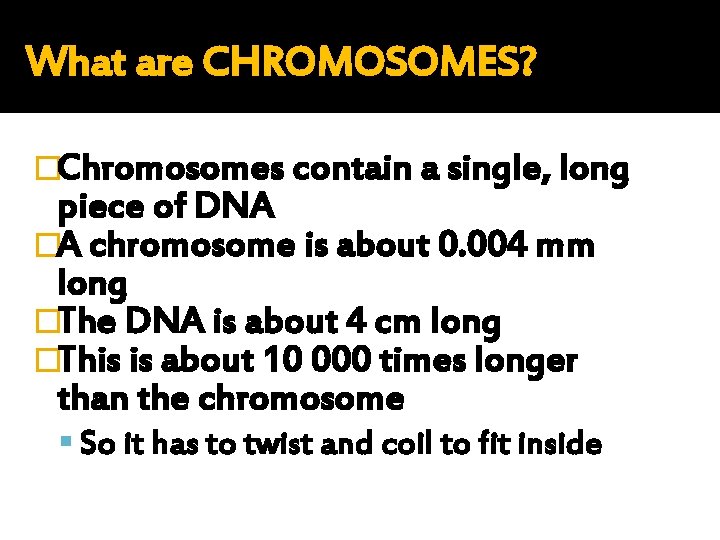 What are CHROMOSOMES? �Chromosomes contain a single, long piece of DNA �A chromosome is