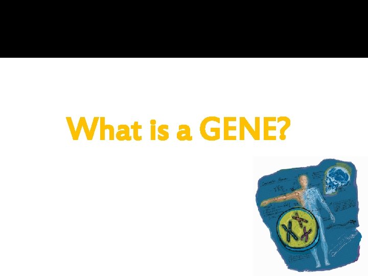 What is a GENE? 