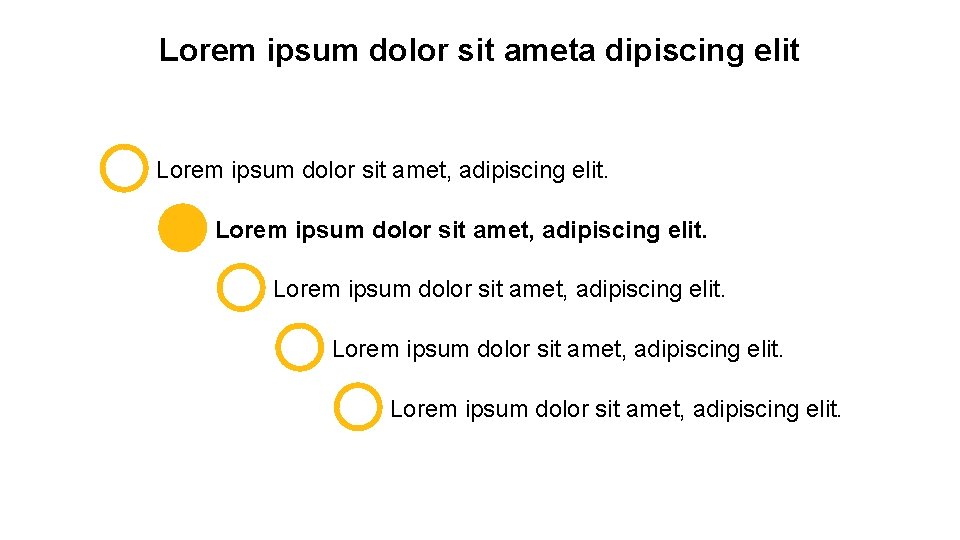 Lorem ipsum dolor sit ameta dipiscing elit Lorem ipsum dolor sit amet, adipiscing elit.