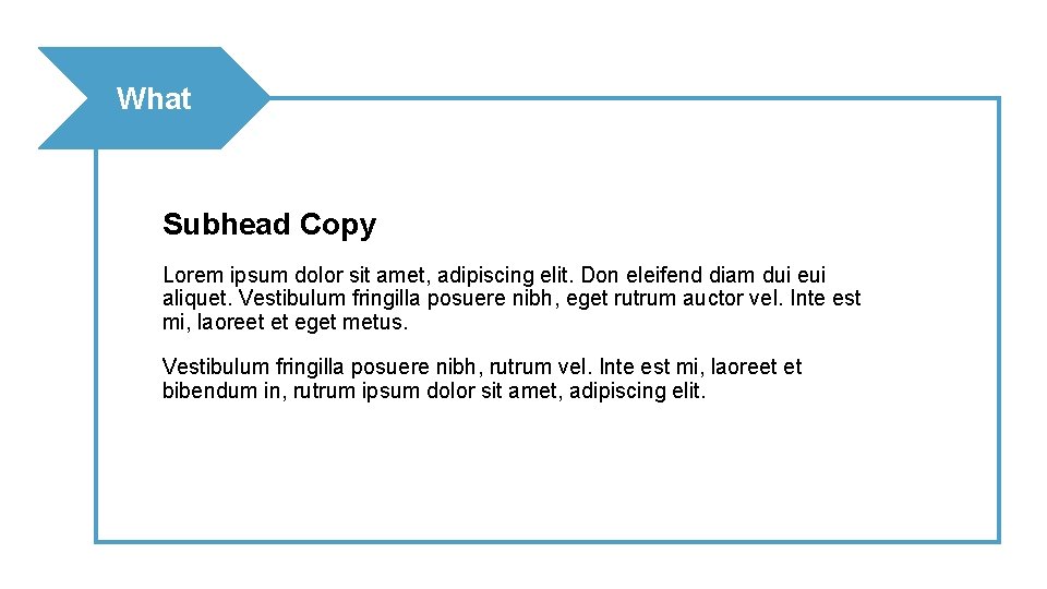 What Subhead Copy Lorem ipsum dolor sit amet, adipiscing elit. Don eleifend diam dui