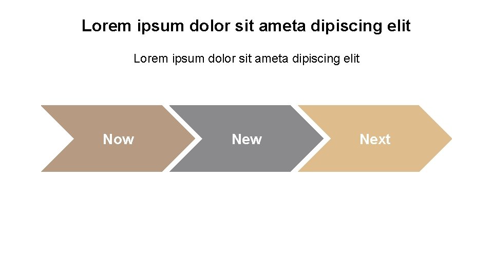 Lorem ipsum dolor sit ameta dipiscing elit Now Next 