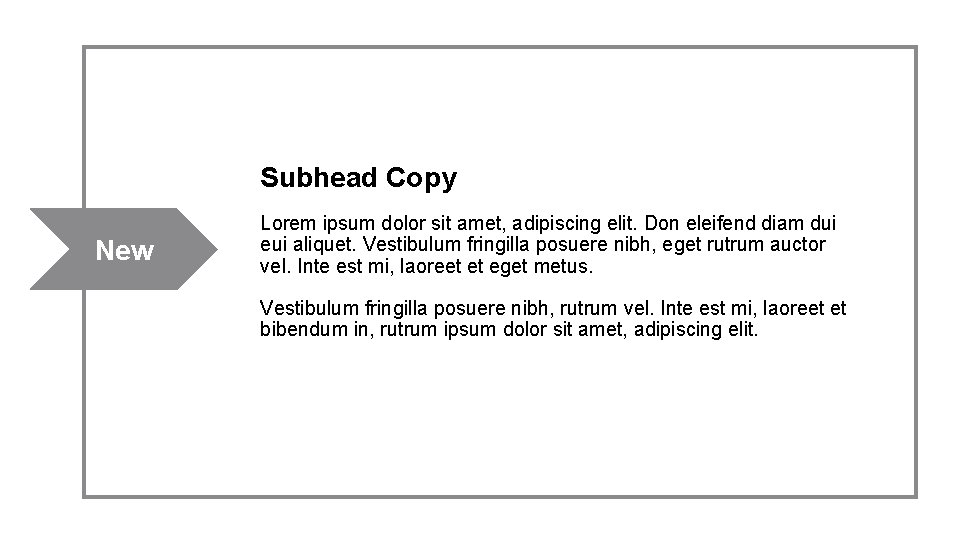 Subhead Copy New Lorem ipsum dolor sit amet, adipiscing elit. Don eleifend diam dui