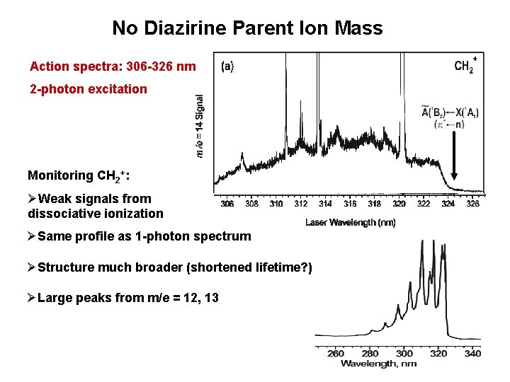 No Diazirine Parent Ion Mass Action spectra: 306 -326 nm 2 -photon excitation Monitoring