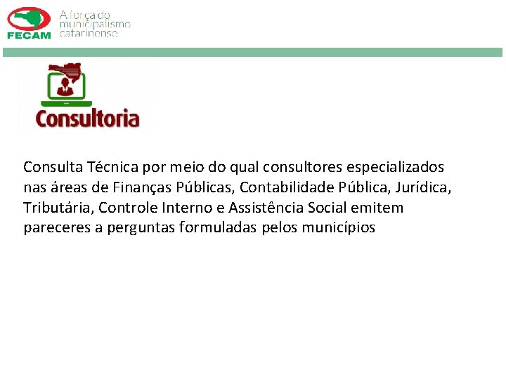 Consulta Técnica por meio do qual consultores especializados nas áreas de Finanças Públicas, Contabilidade