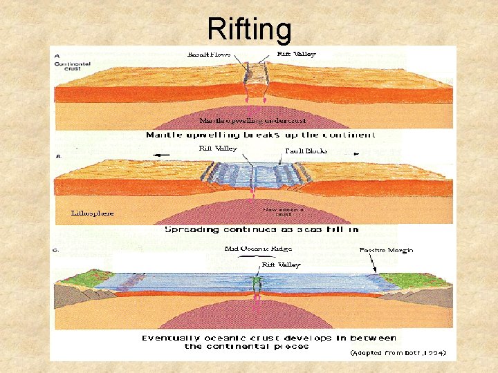 Rifting Sign Plate Tectonics Theory that the Earths crust is