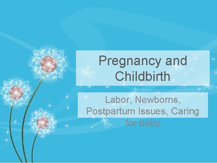 Pregnancy and Childbirth Labor, Newborns, Postpartum Issues, Caring for baby 