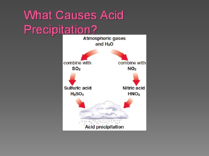 What Causes Acid Precipitation? 