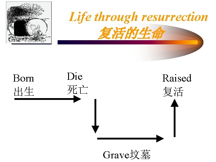 Life through resurrection 复活的生命 Born 出生 Die 死亡 Raised 复活 Grave坟墓 