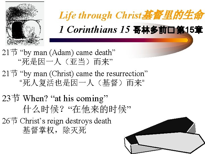 Life through Christ基督里的生命 1 Corinthians 15 哥林多前� 第 15章 21节 “by man (Adam) came