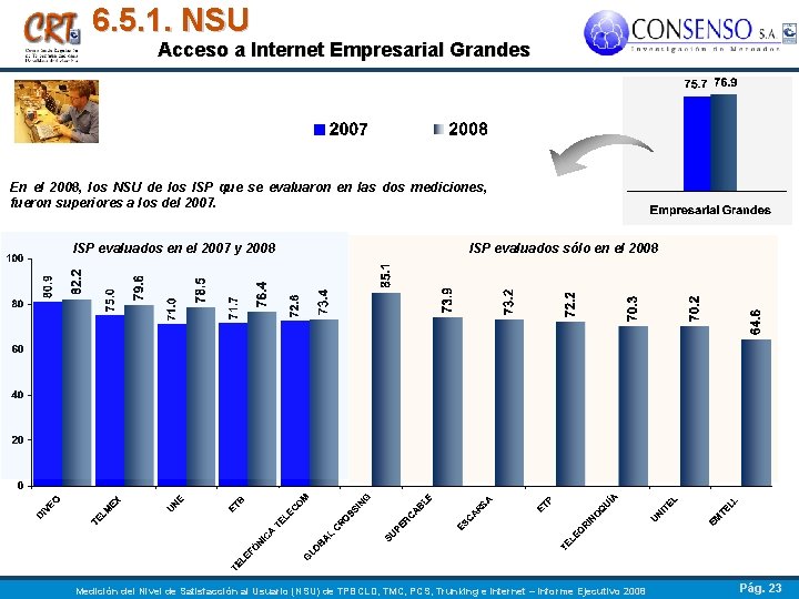 6. 5. 1. NSU Acceso a Internet Empresarial Grandes En el 2008, los NSU